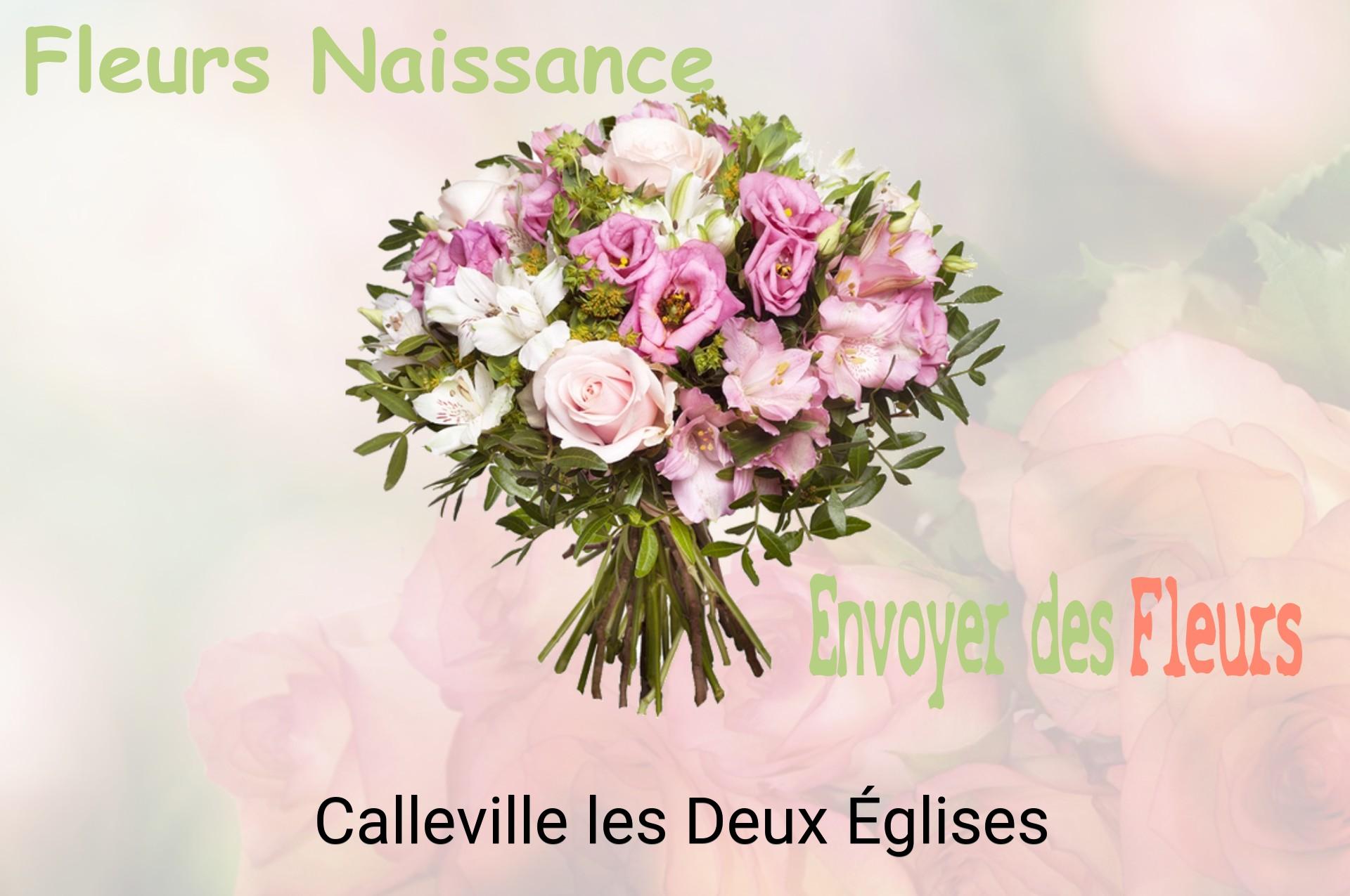 Bouquet de fleurs de naissance livré à Calleville-les-Deux-Églises